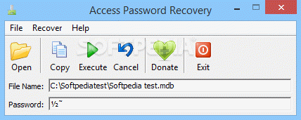 Access Password Recovery Crack + Activation Code Download