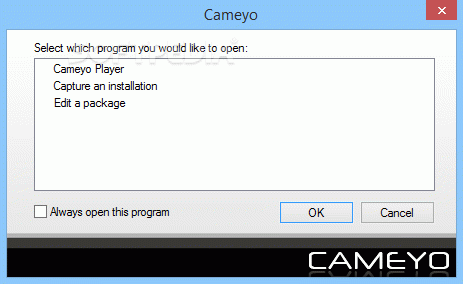 Cameyo Crack + Activation Code Updated