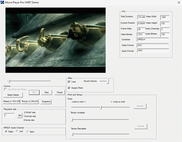 Movie Player Pro SDK ActiveX Crack & License Key