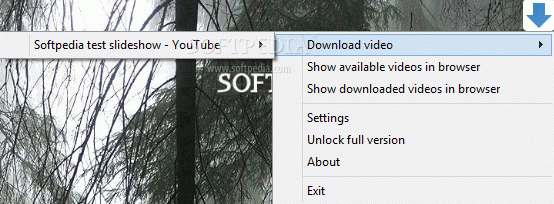 Video Downloader Ultimate Crack With Activator Latest
